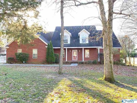 171 Dee Ann Rd, Trinity, AL 35673 photo 1