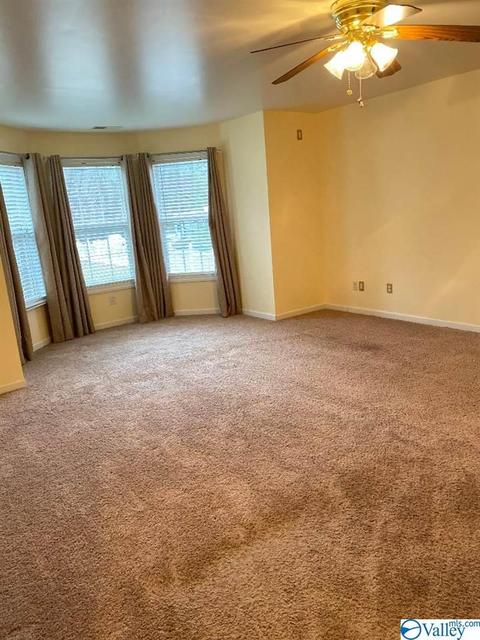 171 Dee Ann Rd, Trinity, AL 35673 photo 16