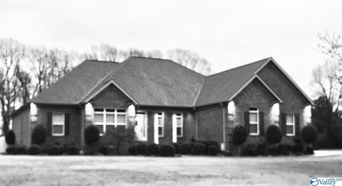 335 S Mountain Dr, Trinity, AL 35673 photo 1