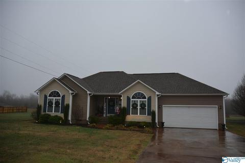 136 Patsy Lee Dr, Stevenson, AL 35772 photo 2
