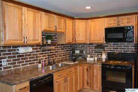 136 Patsy Lee Dr, Stevenson, AL 35772 photo 10