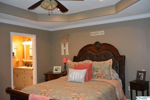 136 Patsy Lee Dr, Stevenson, AL 35772 photo 13