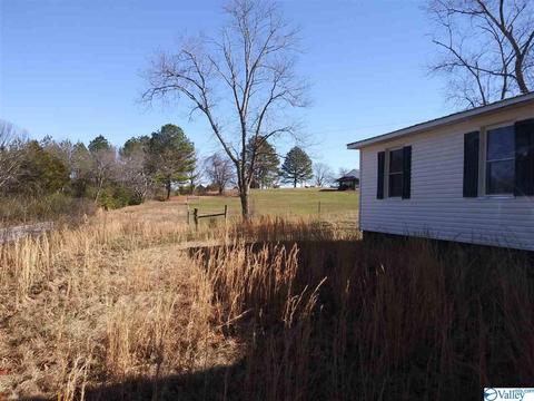 285 Pentecost Rd, Eva, AL 35621 photo 2