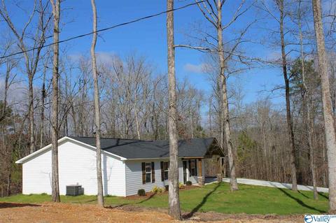 2265 Madison Loop, Southside, AL 35907 photo 13