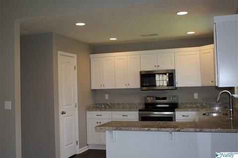 2265 Madison Loop, Southside, AL 35907 photo 5