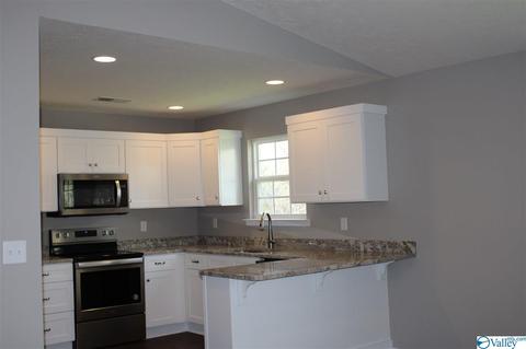 2265 Madison Loop, Southside, AL 35907 photo 4