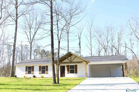 2265 Madison Loop, Southside, AL 35907 photo 1