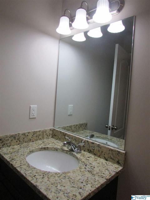 2265 Madison Loop, Southside, AL 35907 photo 8