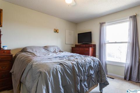 350 County Road 360, Trinity, AL 35673 photo 14