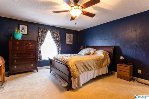350 County Road 360, Trinity, AL 35673 photo 11