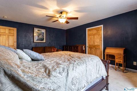350 County Road 360, Trinity, AL 35673 photo 10