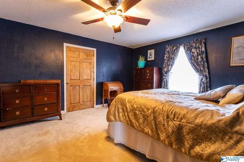 350 County Road 360, Trinity, AL 35673 photo 9