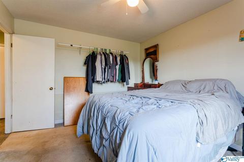 350 County Road 360, Trinity, AL 35673 photo 13