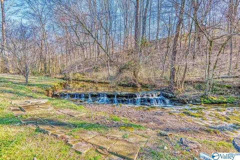 668 Lingerlost Rd, Killen, AL 35645 photo 4