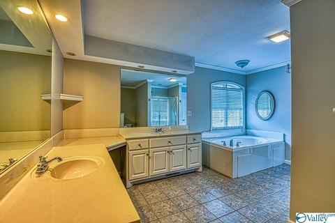 668 Lingerlost Rd, Killen, AL 35645 photo 19