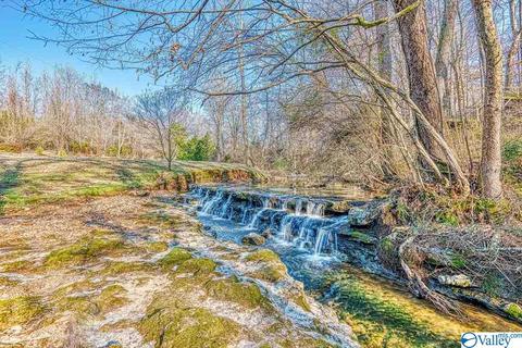 668 Lingerlost Rd, Killen, AL 35645 photo 5