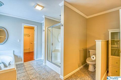 668 Lingerlost Rd, Killen, AL 35645 photo 20