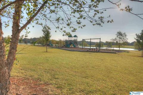 101 Appleton Ln, Madison, AL 35756 photo 23