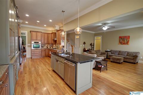101 Appleton Ln, Madison, AL 35756 photo 5