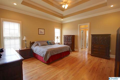 101 Appleton Ln, Madison, AL 35756 photo 13