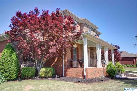 101 Appleton Ln, Madison, AL 35756 photo 2