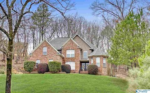 111 Fuller Dr, Glencoe, AL 35905 photo 1