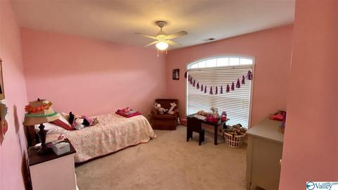 111 Fuller Dr, Glencoe, AL 35905 photo 11