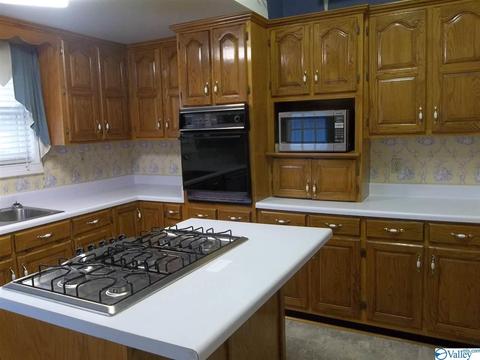 108 Nichols St, Dutton, AL 35744 photo 6