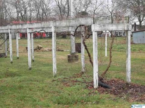 108 Nichols St, Dutton, AL 35744 photo 33