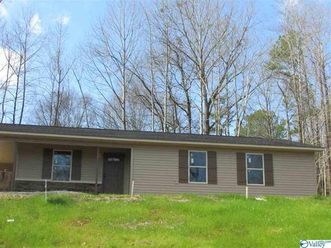 2294 Madison Loop, Southside, AL 35907 photo 2