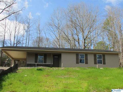 2294 Madison Loop, Southside, AL 35907 photo 1