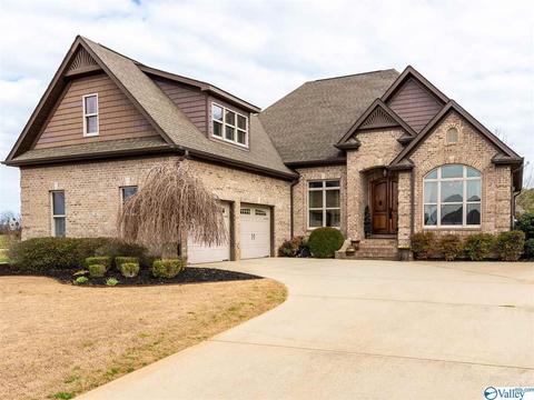 17536 Windermere Dr, Athens, AL 35611 photo 1