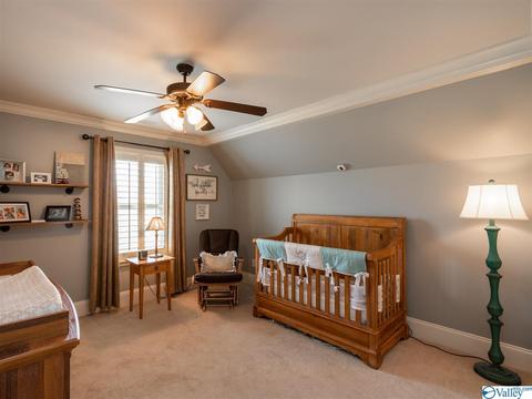 17536 Windermere Dr, Athens, AL 35611 photo 28