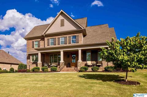 124 Appleton Ln, Madison, AL 35756 photo 18