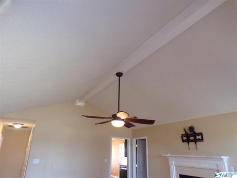 295 County Road 390, Trinity, AL 35673 photo 5