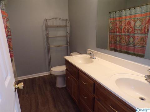 295 County Road 390, Trinity, AL 35673 photo 24