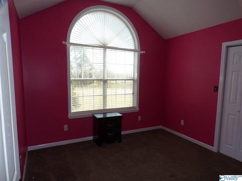 295 County Road 390, Trinity, AL 35673 photo 23