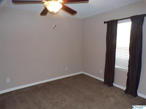 295 County Road 390, Trinity, AL 35673 photo 19