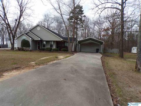 295 County Road 390, Trinity, AL 35673 photo 36