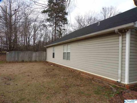 295 County Road 390, Trinity, AL 35673 photo 29