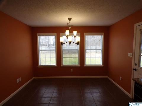 295 County Road 390, Trinity, AL 35673 photo 9