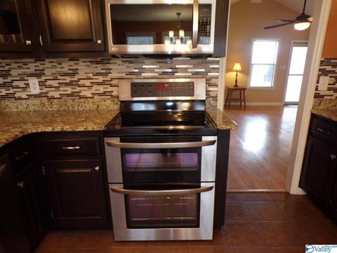295 County Road 390, Trinity, AL 35673 photo 16