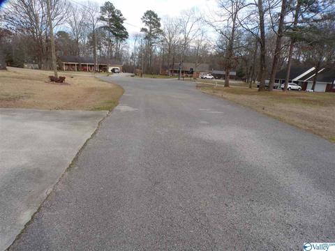 295 County Road 390, Trinity, AL 35673 photo 35