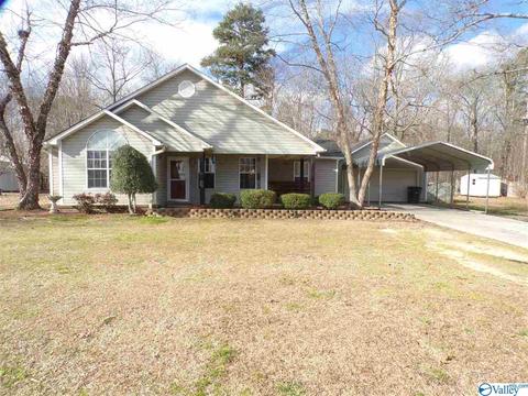 295 County Road 390, Trinity, AL 35673 photo 1