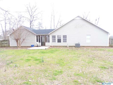 295 County Road 390, Trinity, AL 35673 photo 30