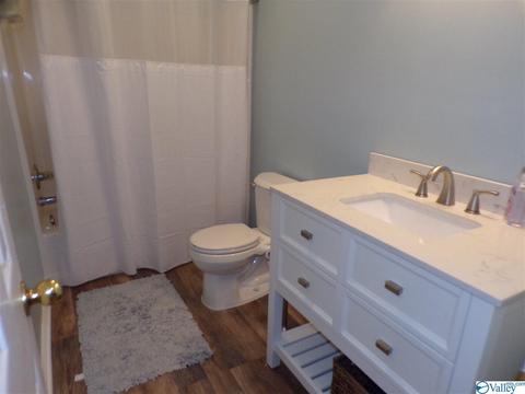 295 County Road 390, Trinity, AL 35673 photo 25