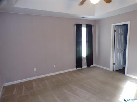 295 County Road 390, Trinity, AL 35673 photo 21