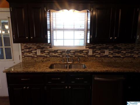 295 County Road 390, Trinity, AL 35673 photo 14