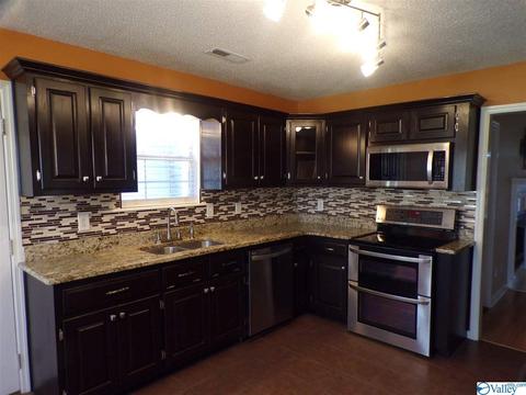 295 County Road 390, Trinity, AL 35673 photo 10