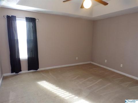 295 County Road 390, Trinity, AL 35673 photo 20